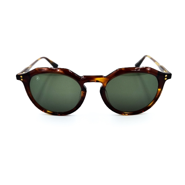 Taylor morris 32079 tartoise 